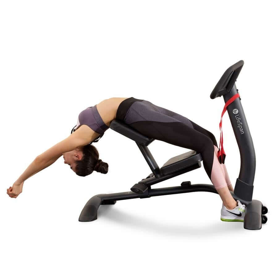 SP1000 Stretch Partner Pro - Image 10