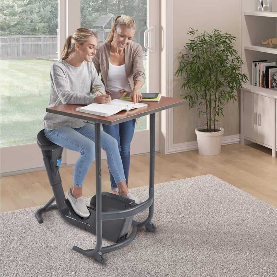 Unity Bike Desk For Adults - Image 6